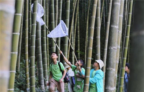 中国国家文化公园故事将走向世界