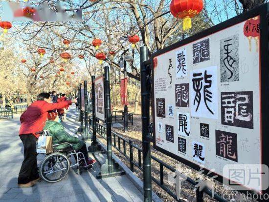 吉祥的龙纹——紫竹院公园新春龙文化展在北京举行